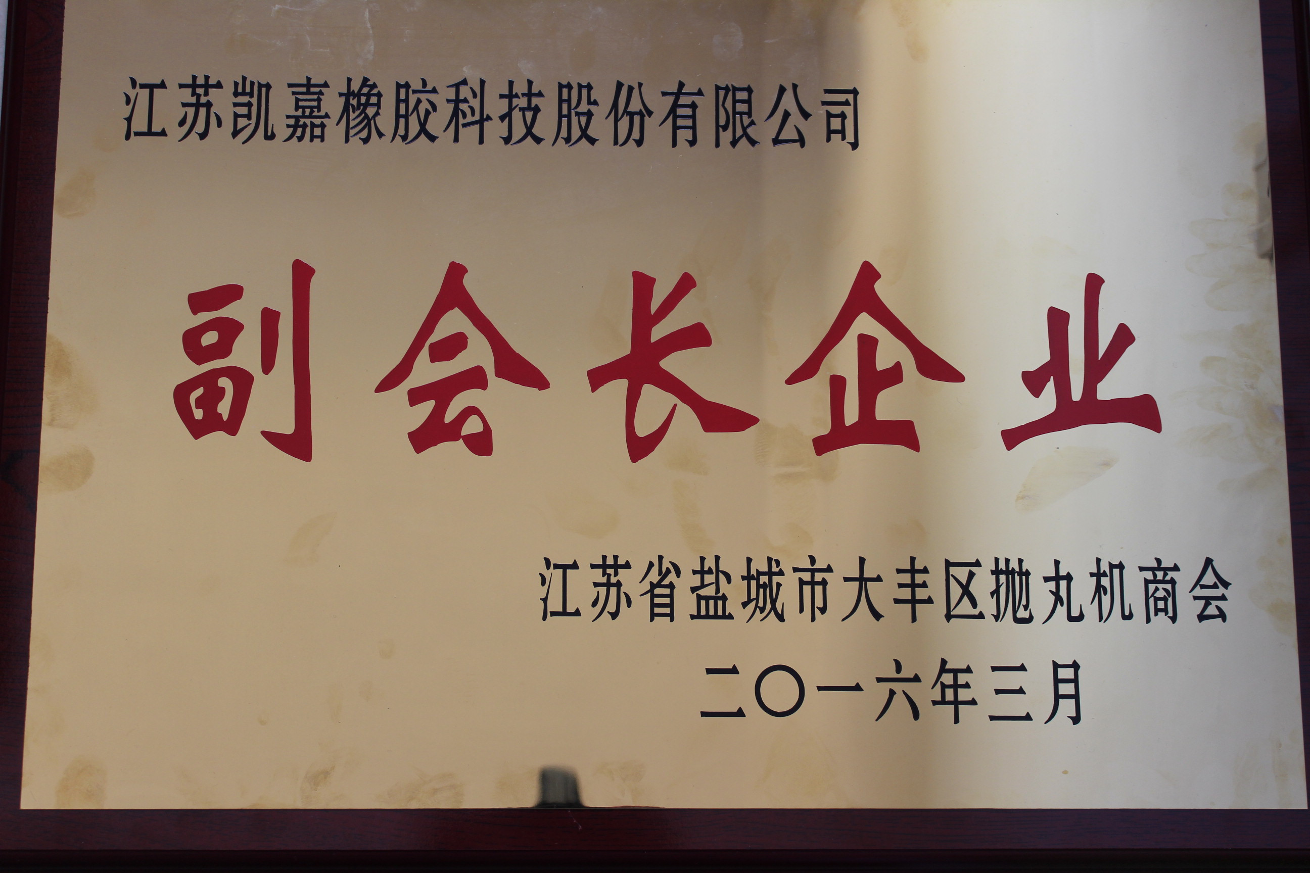 副會長企業(yè)